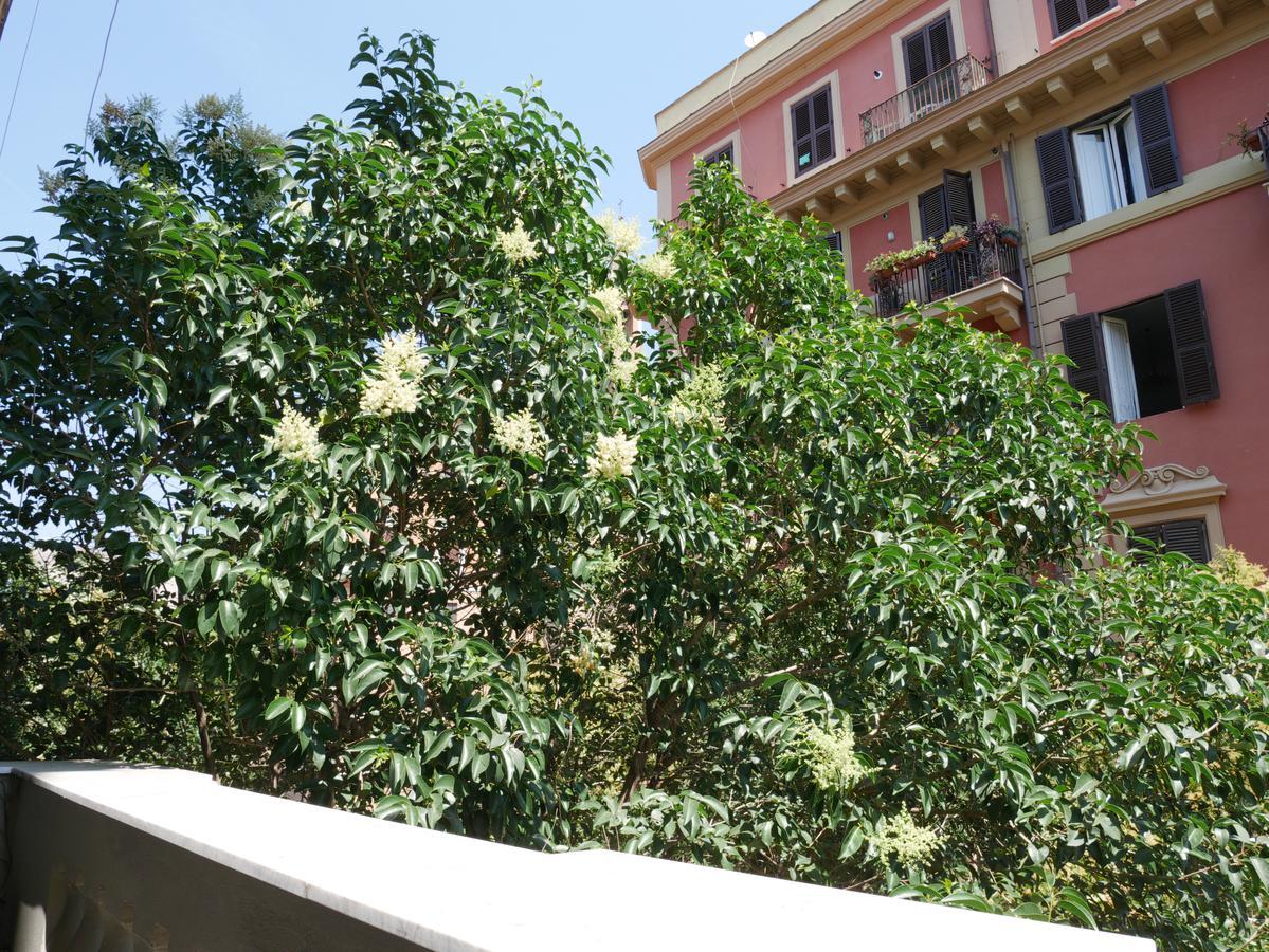 Nori Guest House Rome Exterior photo